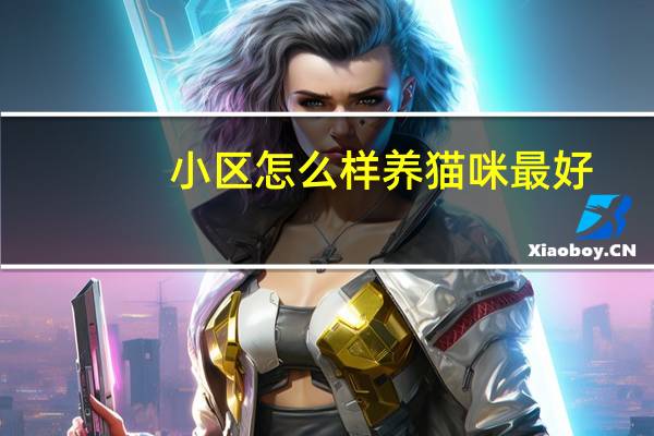 小区怎么样养猫咪最好