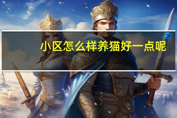 小区怎么样养猫好一点呢