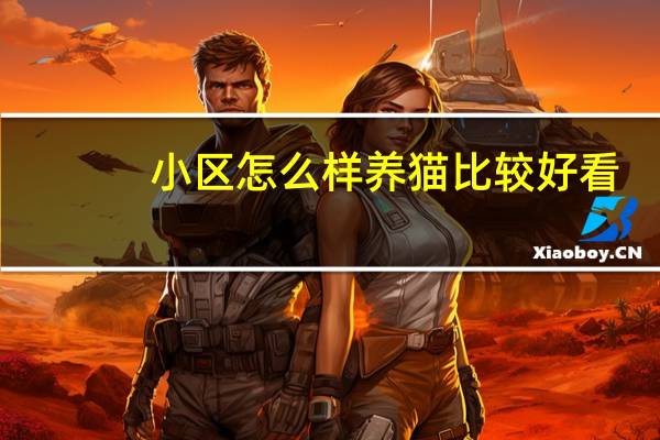 小区怎么样养猫比较好看