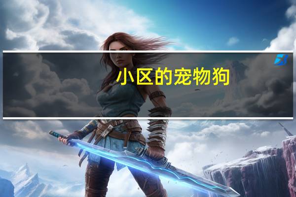 小区的宠物狗