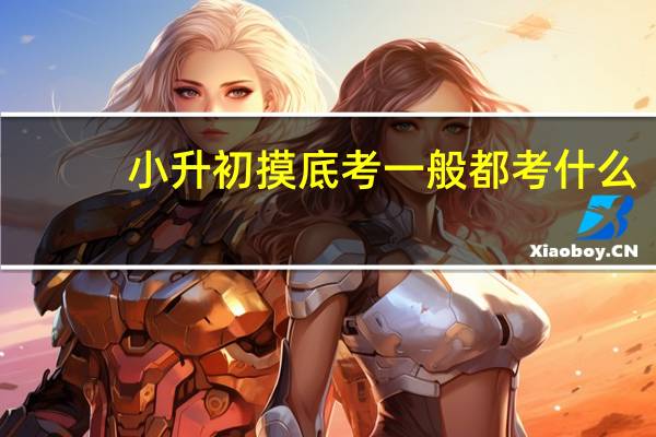 小升初摸底考一般都考什么