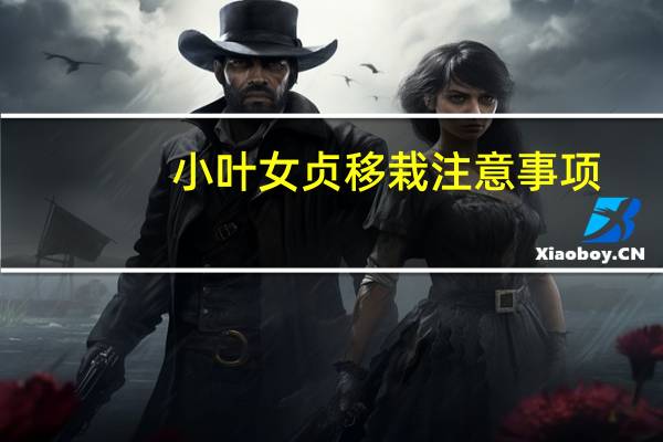 小叶女贞移栽注意事项