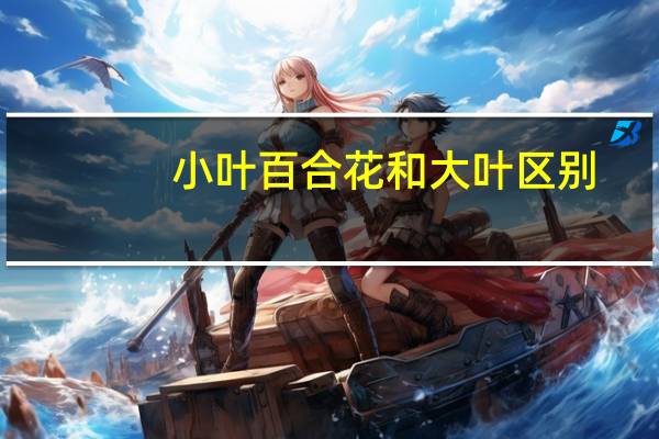 小叶百合花和大叶区别