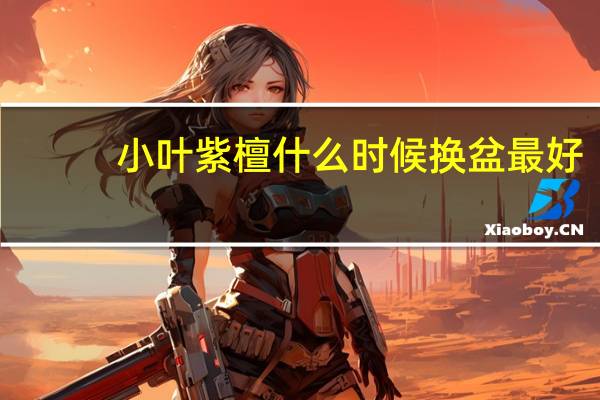 小叶紫檀什么时候换盆最好