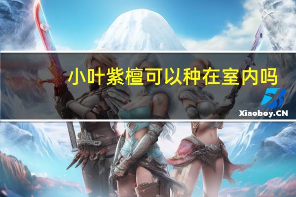 小叶紫檀可以种在室内吗