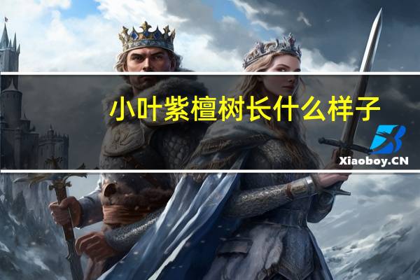 小叶紫檀树长什么样子