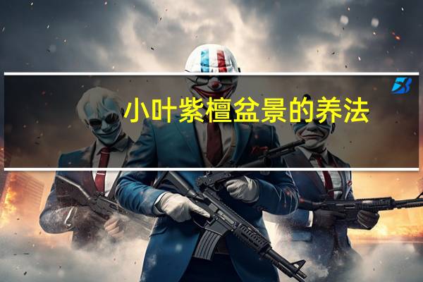 小叶紫檀盆景的养法（xiaoye）