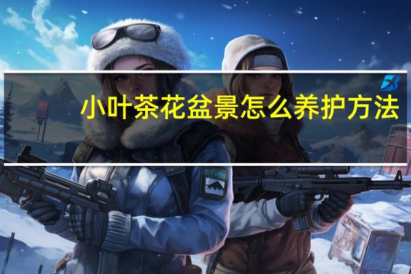 小叶茶花盆景怎么养护方法