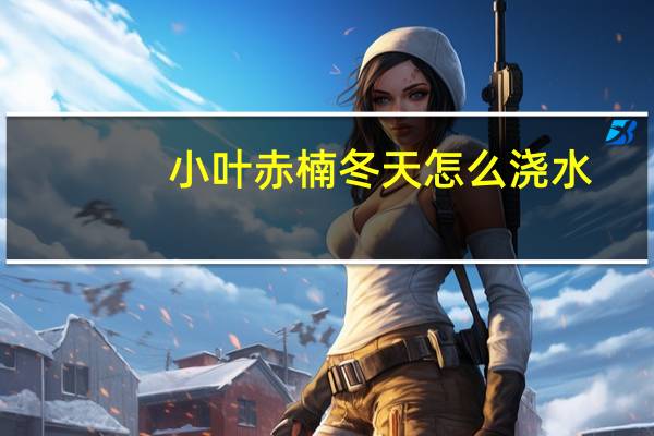 小叶赤楠冬天怎么浇水