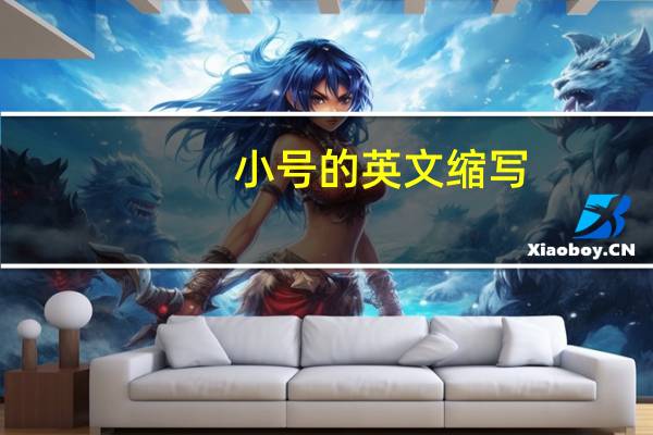小号的英文缩写