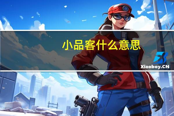 小品客什么意思