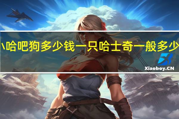 小哈吧狗多少钱一只 哈士奇一般多少钱一只