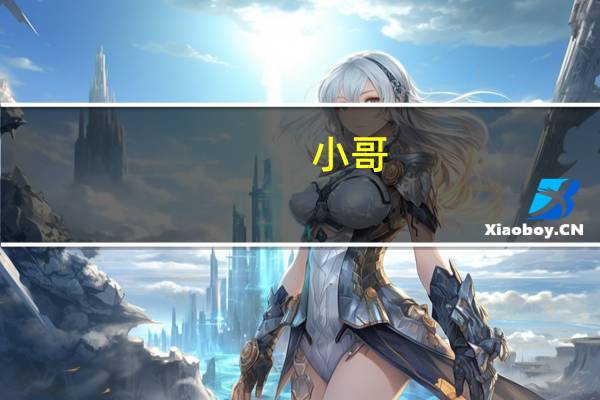 小哥（小哥）