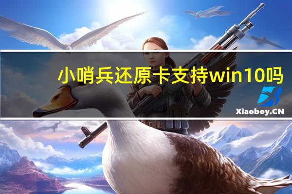 小哨兵还原卡支持win10吗(小哨兵还原卡简介)
