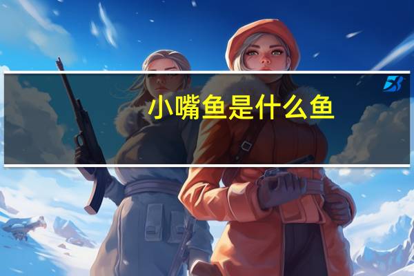 小嘴鱼是什么鱼