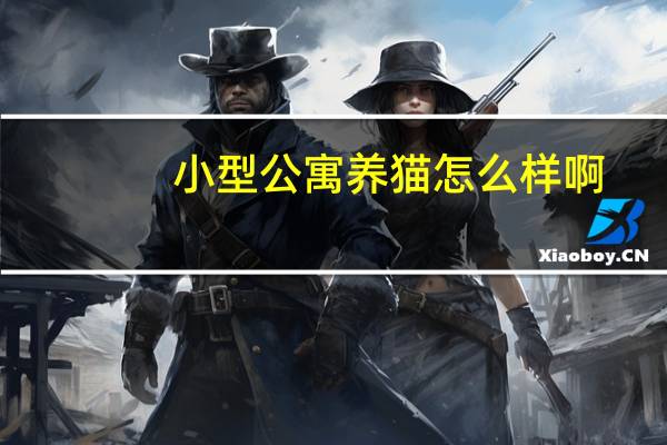 小型公寓养猫怎么样啊