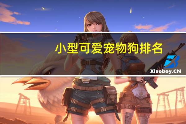 小型可爱宠物狗排名