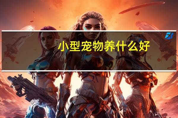 小型宠物养什么好