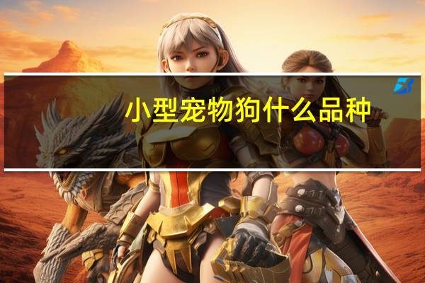 小型宠物狗什么品种
