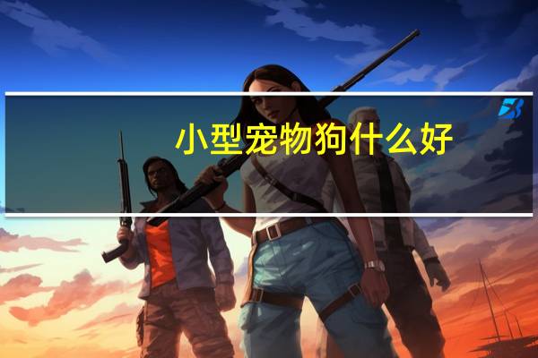 小型宠物狗什么好