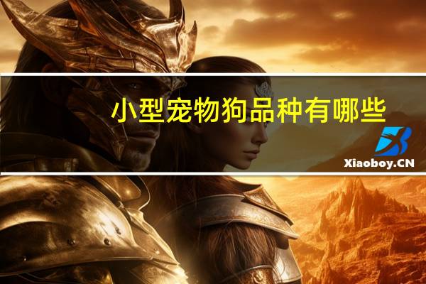 小型宠物狗品种有哪些