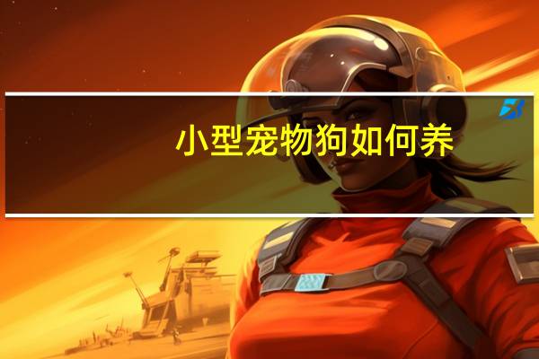 小型宠物狗如何养
