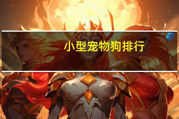 小型宠物狗排行