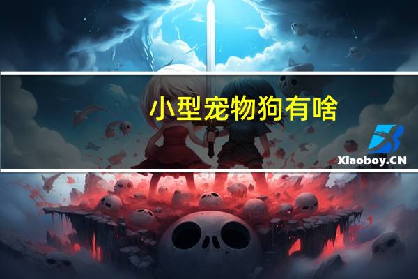 小型宠物狗有啥