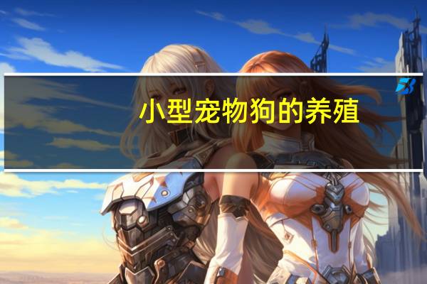 小型宠物狗的养殖