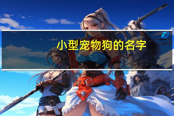 小型宠物狗的名字