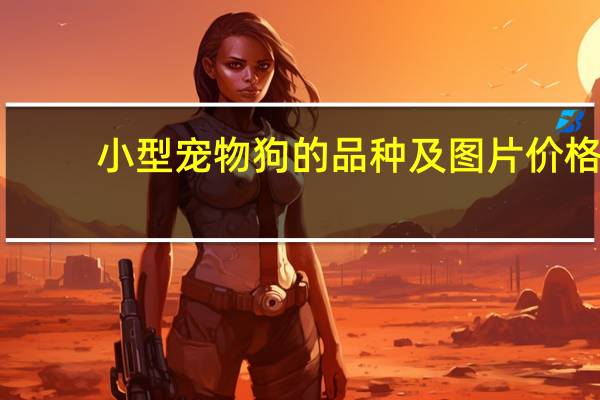 小型宠物狗的品种及图片价格