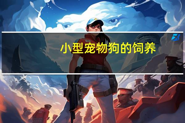 小型宠物狗的饲养