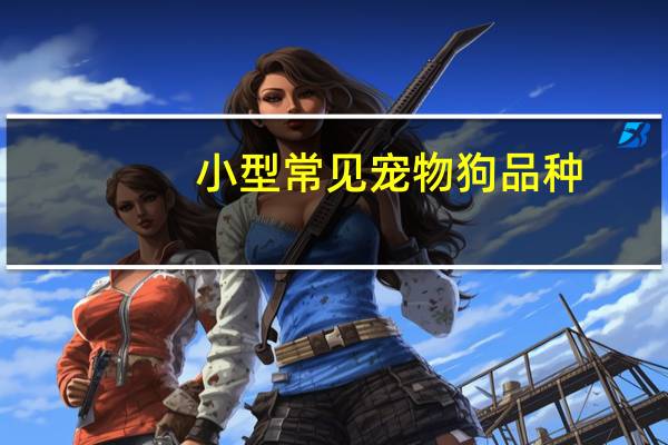 小型常见宠物狗品种