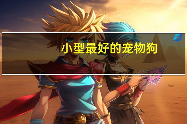 小型最好的宠物狗