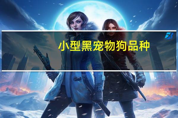 小型黑宠物狗品种