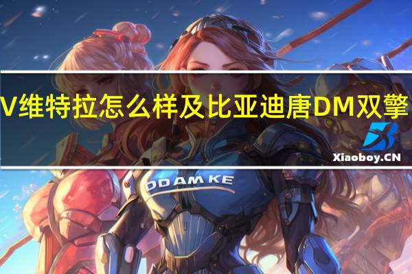 小型SUV维特拉怎么样及比亚迪唐DM双擎四驱版多少钱