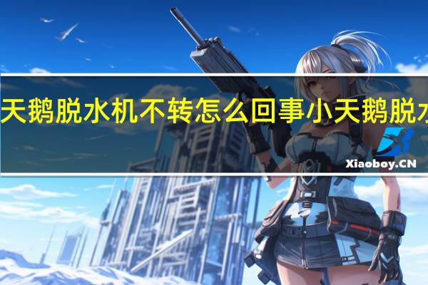 小天鹅脱水机不转怎么回事 小天鹅脱水机不转