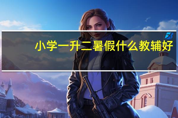 小学一升二暑假什么教辅好
