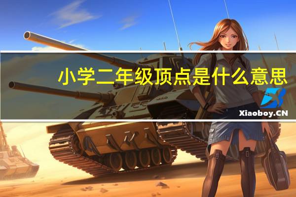 小学二年级顶点是什么意思