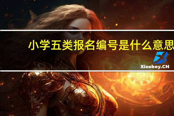 小学五类报名编号是什么意思