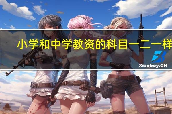 小学和中学教资的科目一二一样吗