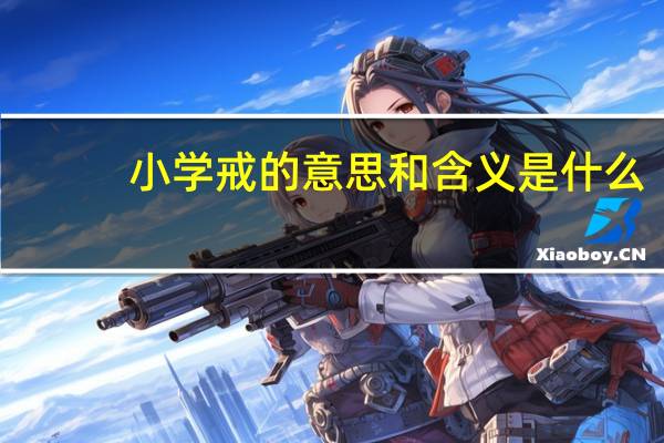 小学戒的意思和含义是什么