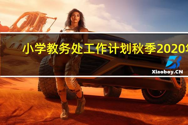 小学教务处工作计划秋季2020年（小学教务处工作计划）