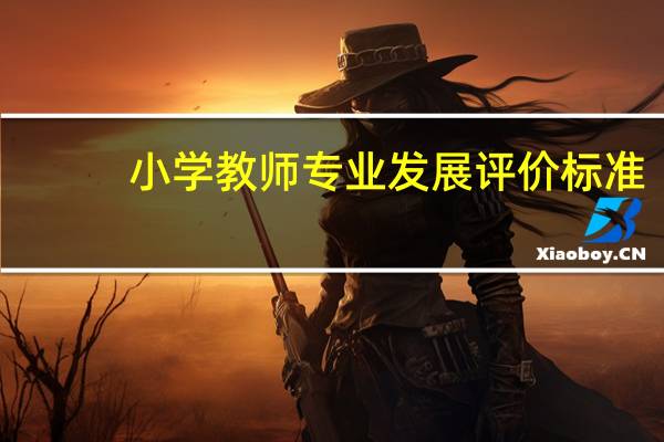 小学教师专业发展评价标准
