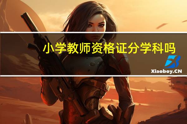 小学教师资格证分学科吗