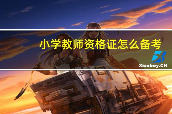 小学教师资格证怎么备考