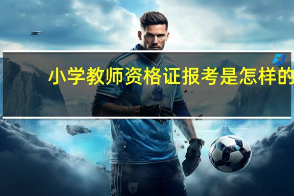小学教师资格证报考是怎样的