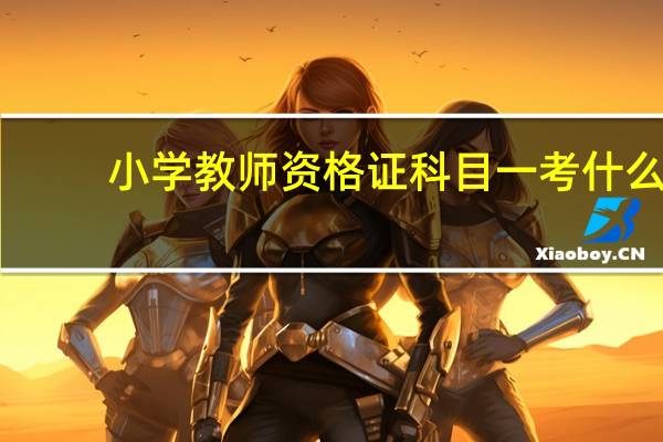 小学教师资格证科目一考什么