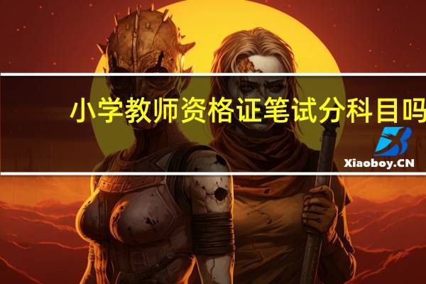 小学教师资格证笔试分科目吗