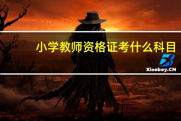 小学教师资格证考什么科目